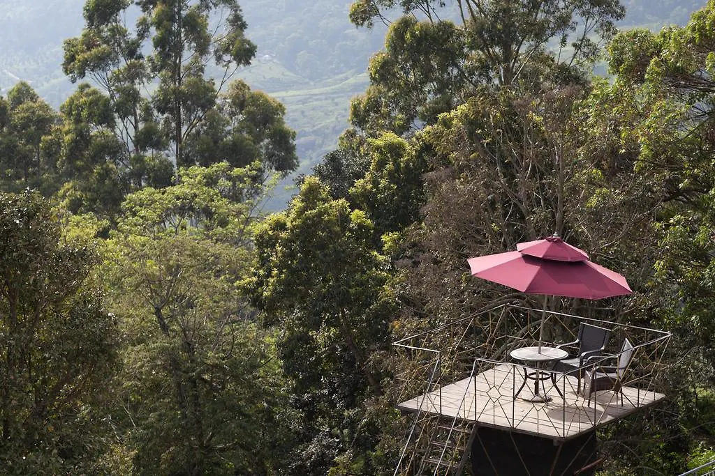 Sterling Munnar Hotel Resort